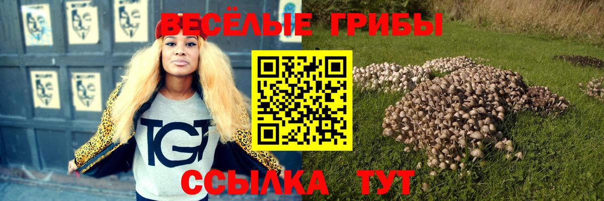 Псилоцибиновые грибы Magic Shrooms Ирбит