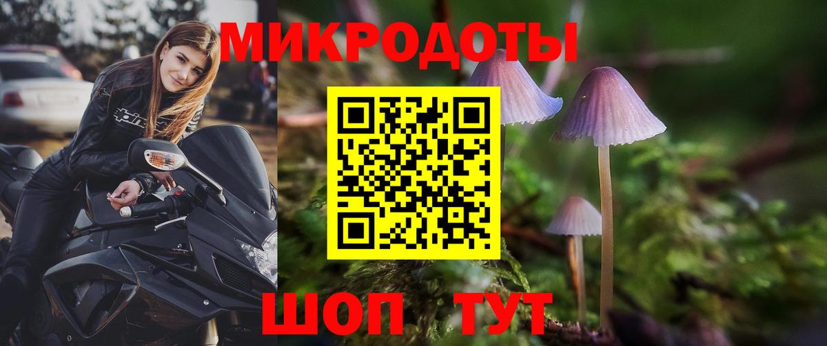 Ирбит  Галлюциногенные грибы Psilocybe  Вход с VPN 